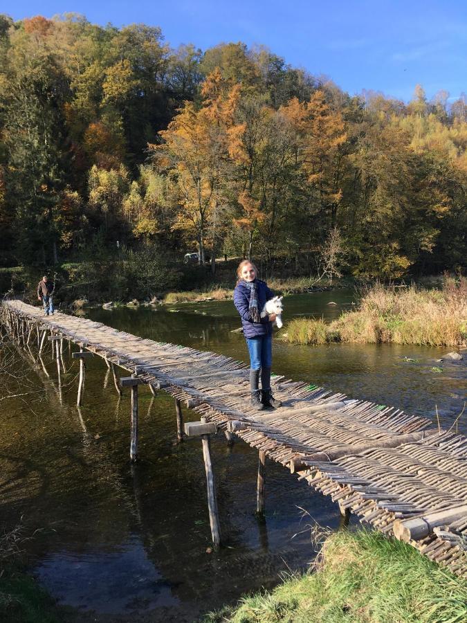 Gite La Passerelle A Mouzaive Vresse-sur-Semois Exterior photo